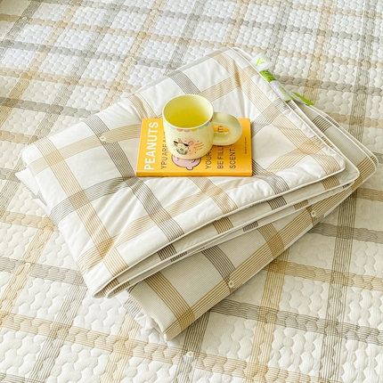 邵依家纺 2025新款A类凉感丝夏凉被空调被印花夏被 可可西里