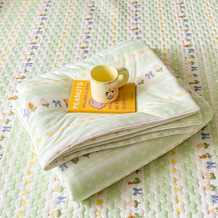 邵依家纺 2025新款A类凉感丝夏凉被空调被印花夏被 瑞兰