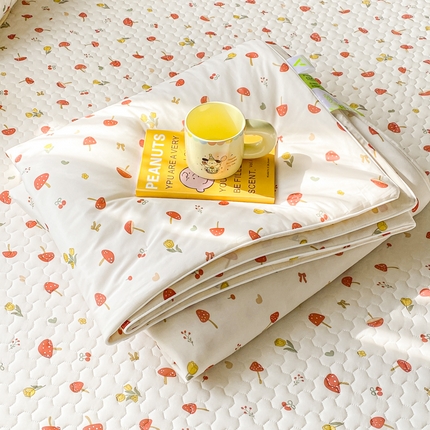 邵依家纺 2025新款A类凉感丝夏凉被空调被印花夏被 享生活