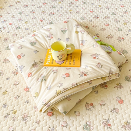 邵依家纺 2025新款A类凉感丝夏凉被空调被印花夏被 黛西