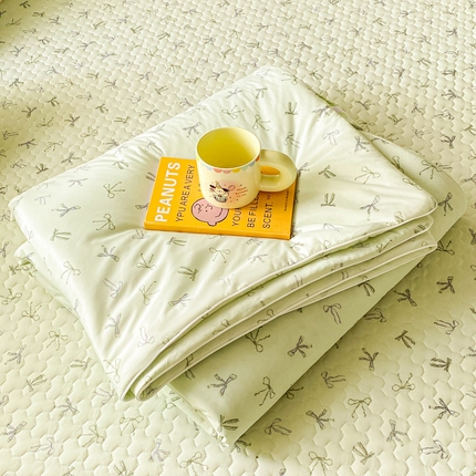 邵依家纺 2025新款A类凉感丝夏凉被空调被印花夏被 初心