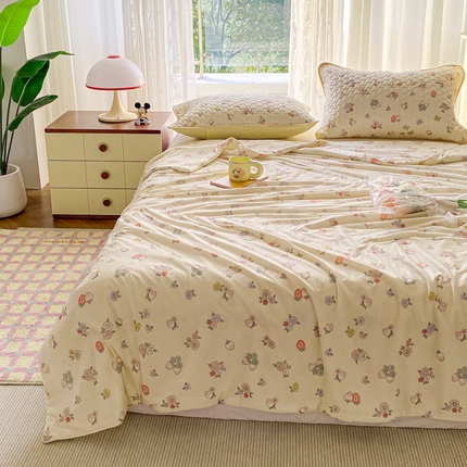 91家纺网 家纺一手货源 找家纺 （总）邵依家纺 2025新款A类凉感丝夏凉被空调被印花夏被