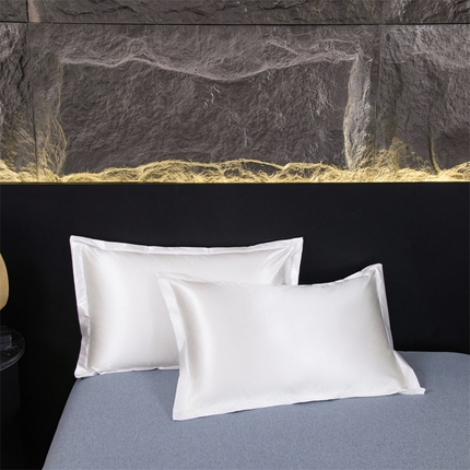 梦舒羽2025新款防水冰丝纯色单人枕套宿舍枕芯套内胆套 防水冰丝单人枕套-光洁白