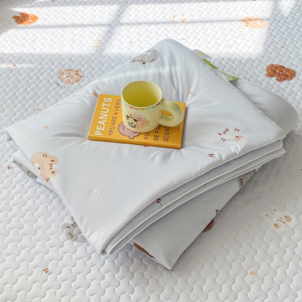 邵依家纺 2025新款A类凉感丝夏凉被空调被印花夏被 爱丁堡