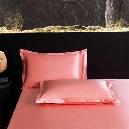 梦舒羽2025新款防水冰丝纯色单人枕套宿舍枕芯套内胆套 防水冰丝单人枕套-玉色