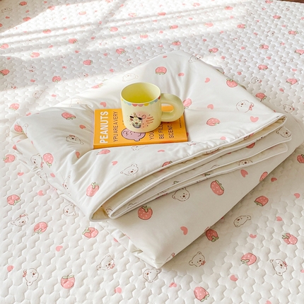 邵依家纺 2025新款A类凉感丝夏凉被空调被印花夏被 晴朗