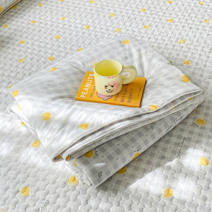 邵依家纺 2025新款A类凉感丝夏凉被空调被印花夏被 奥尔兰