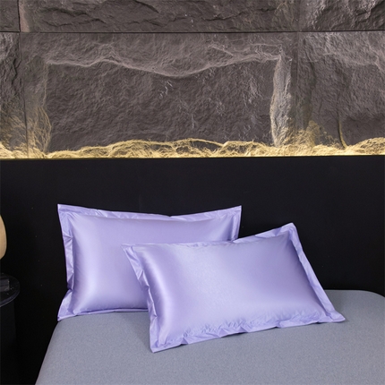 梦舒羽2025新款防水冰丝纯色单人枕套宿舍枕芯套内胆套 防水冰丝单人枕套-雪青色