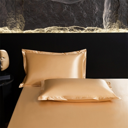 梦舒羽2025新款防水冰丝纯色单人枕套宿舍枕芯套内胆套 防水冰丝单人枕套-金驼色
