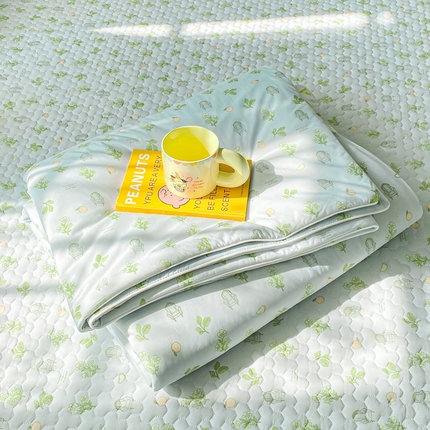 邵依家纺 2025新款A类凉感丝夏凉被空调被印花夏被 仙草