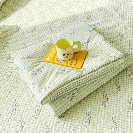 邵依家纺 2025新款A类凉感丝夏凉被空调被印花夏被 塞纳