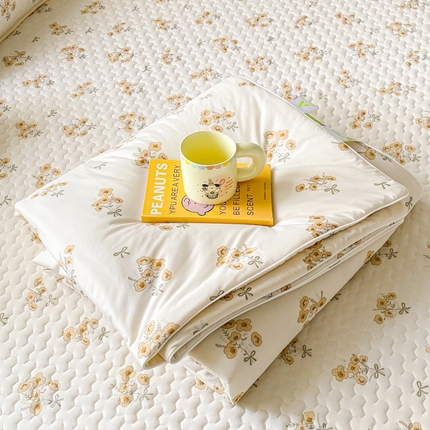 邵依家纺 2025新款A类凉感丝夏凉被空调被印花夏被 蔷薇