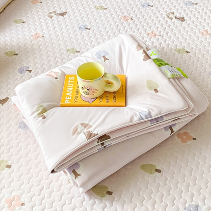 邵依家纺 2025新款A类凉感丝夏凉被空调被印花夏被 悠然