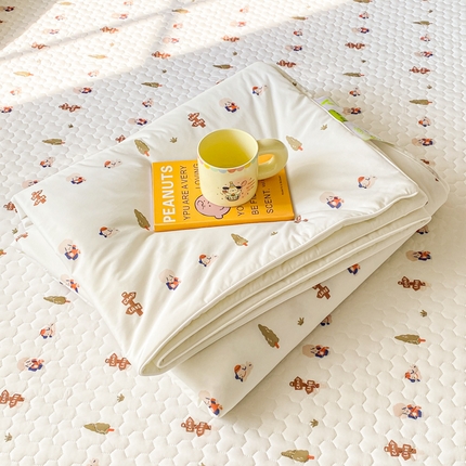 邵依家纺 2025新款A类凉感丝夏凉被空调被印花夏被 童话