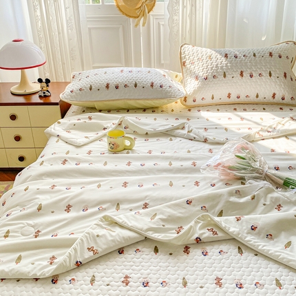 91家纺网 家纺一手货源 找家纺 （总）邵依家纺 2025新款A类凉感丝夏凉被印花夏被四件套空调被