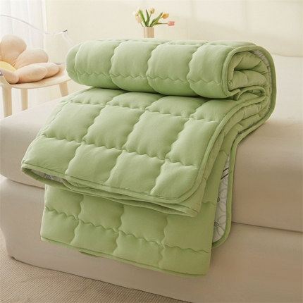 予梦 2025新款A类亲肤磨毛床护垫铺床褥子夹棉床垫 青果绿