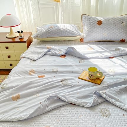 邵依家纺 2025新款A类凉感丝夏凉被印花夏被四件套空调被 爱丁堡