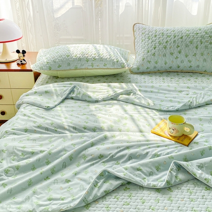 邵依家纺 2025新款A类凉感丝夏凉被印花夏被四件套空调被 仙草