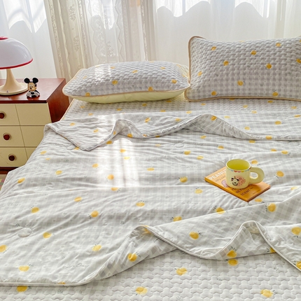 邵依家纺 2025新款A类凉感丝夏凉被印花夏被四件套空调被 奥尔兰