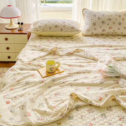 邵依家纺 2025新款A类凉感丝夏凉被印花夏被四件套空调被 黛西