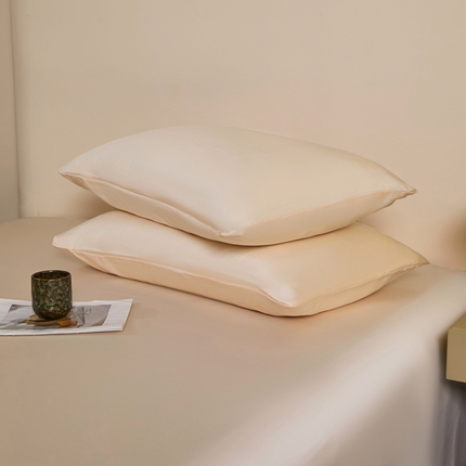 91家纺网 家纺一手货源 找家纺 （总）雅萱家纺  2025新款兰精天丝系列-枕套