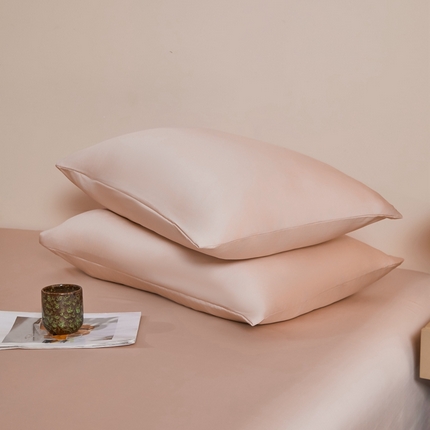 91家纺网 家纺一手货源 找家纺 （总）雅萱家纺  2025新款兰精天丝系列-枕套