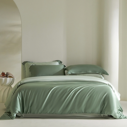 618家纺 2025新款60SA类100支简约双拼系列进口兰精天丝四件套 天丝双拼芙绿