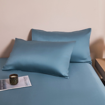 雅萱家纺  2025新款兰精天丝系列-枕套 60s天丝黎明兰