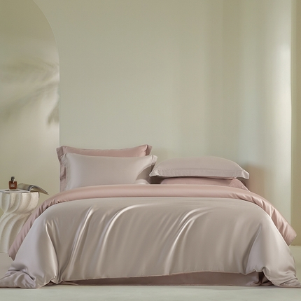 618家纺 2025新款60SA类100支简约双拼系列进口兰精天丝四件套 天丝双拼灰粉