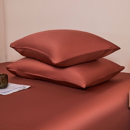 雅萱家纺  2025新款兰精天丝系列-枕套 60s天丝暖茶色