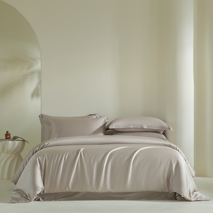 618家纺 2025新款60SA类100支纯色系列进口兰精天丝四件套 椰子灰