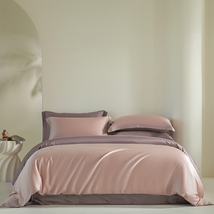 （总）618家纺 2025新款60SA类100支简约双拼系列进口兰精天丝四件套