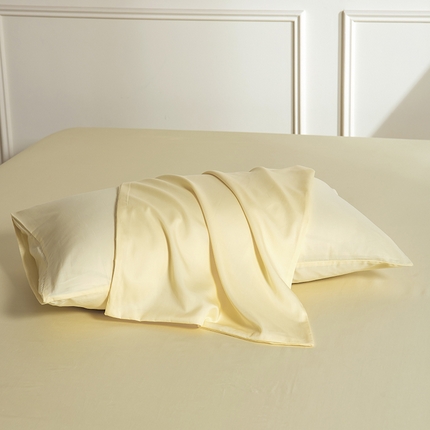 91家纺网 家纺一手货源 找家纺 （总）Mr.pig猪先生水洗棉 2025新款A类超柔天丝棉纯色单枕套