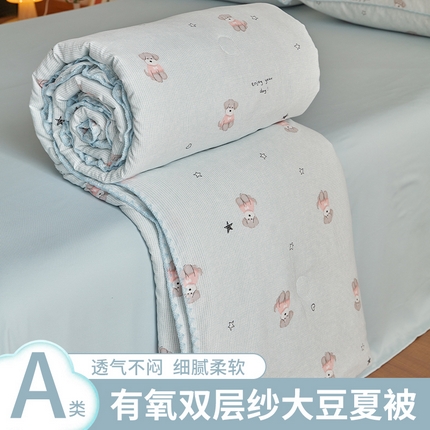 暖阳 2025年新款大豆双层纱夏被四件套 皮皮旺仔