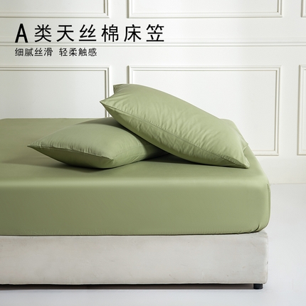 91家纺网 家纺一手货源 找家纺 Mr.pig猪先生水洗棉 2025新款A类超柔天丝棉纯色单床笠 水竹绿
