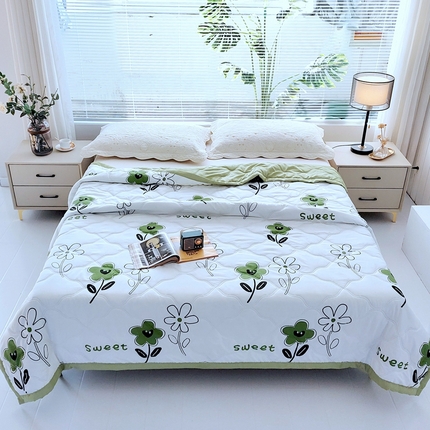 伊凡 2026新款亲肤磨毛夏凉被印花夏被空调被礼品夏被跑量跨境外贸夏凉被 初夏花开