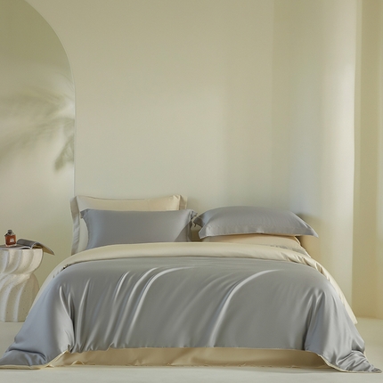 618家纺 2025新款60SA类100支简约双拼系列进口兰精天丝四件套 天丝双拼岩石灰