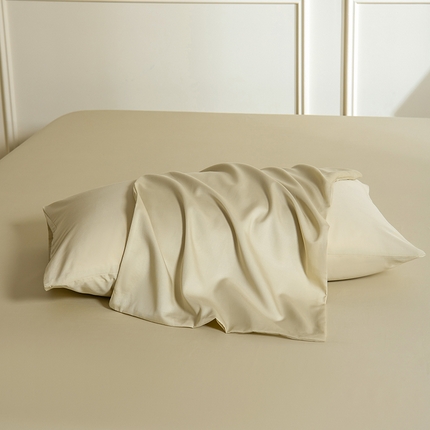 91家纺网 家纺一手货源 找家纺 （总）Mr.pig猪先生水洗棉 2025新款A类超柔天丝棉纯色单枕套