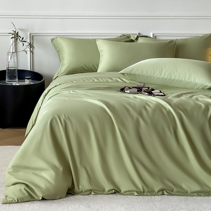 Mr.pig猪先生水洗棉 2025新款A类柔软纯色天丝棉单被套 水竹绿