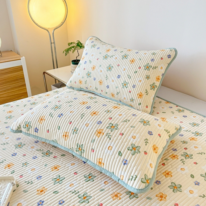 91家纺网 家纺一手货源 找家纺 恒尚居 2025新款全棉床盖床单小清新床垫床褥垫-跑量（四季款） 一路繁花