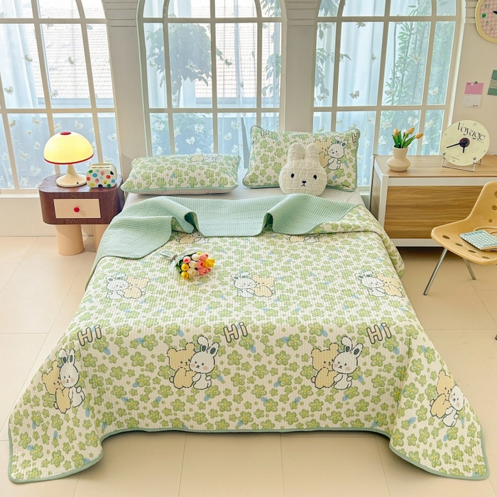 91家纺网 家纺一手货源 找家纺 恒尚居 2025新款全棉床盖床单小清新床垫床褥垫-跑量（四季款） 巴黎春天