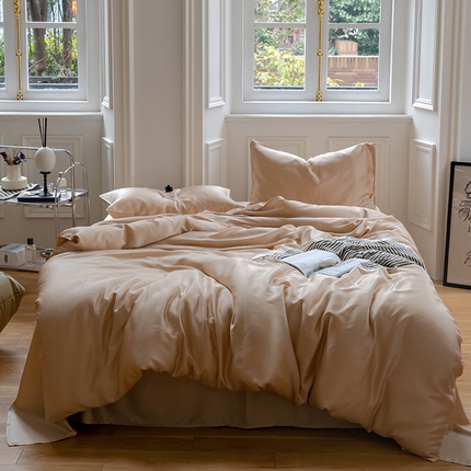  沐晴家纺 2025春夏新款纯色兰精天丝四件套双拼单被套单床笠床单枕套 沙茶色