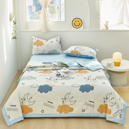 91家纺网 家纺一手货源 找家纺 （总）黛妮雅 2025新款里外全棉印花棉花被纯棉夏被夏凉被空调被 夏被四件套