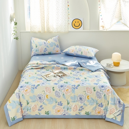 91家纺网 家纺一手货源 找家纺 （总）黛妮雅 2025新款里外全棉印花棉花被纯棉夏被夏凉被空调被 夏被四件套