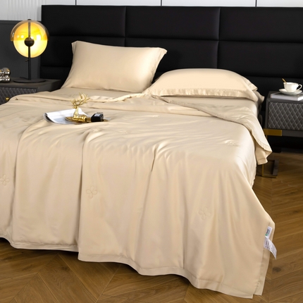 91家纺网 家纺一手货源 找家纺 天瑜家纺 2025新款纯色天丝夏被 纯香槟