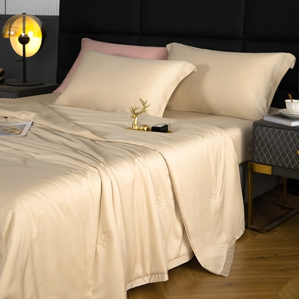 天瑜家纺 2025新款纯色天丝夏被 纯香槟