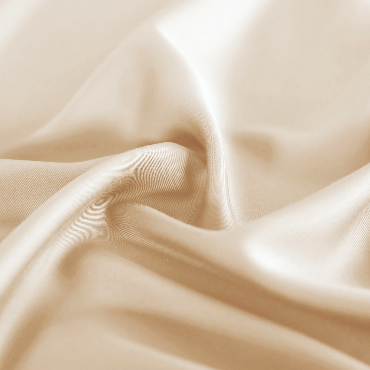 91家纺网 家纺一手货源 找家纺 天瑜 2025天丝床笠 床笠 纯香槟