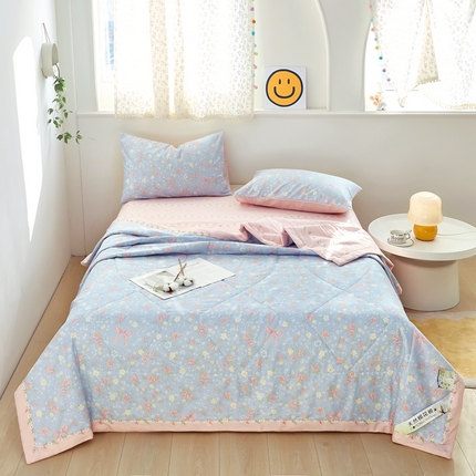 91家纺网 家纺一手货源 找家纺 （总）黛妮雅 2025新款里外全棉印花棉花被纯棉夏被夏凉被空调被 夏被四件套