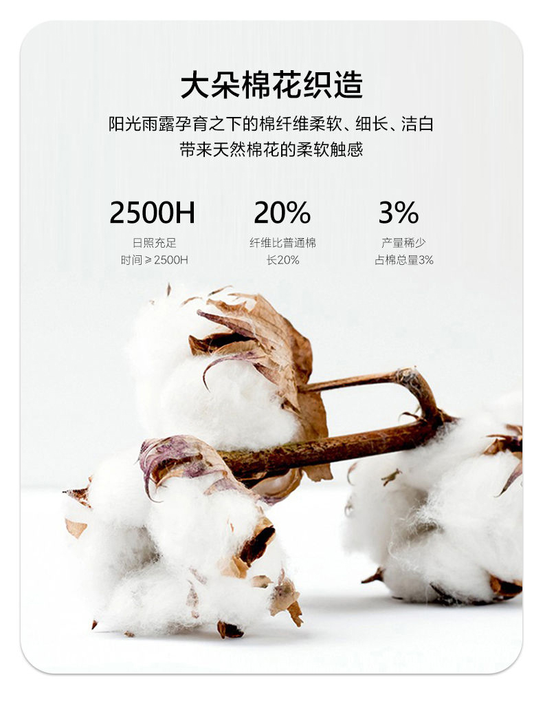 91家纺网 家纺一手货源 找家纺 （总）帅露 2025开春新品全棉喷气13070小清新印花纯棉全棉四件套