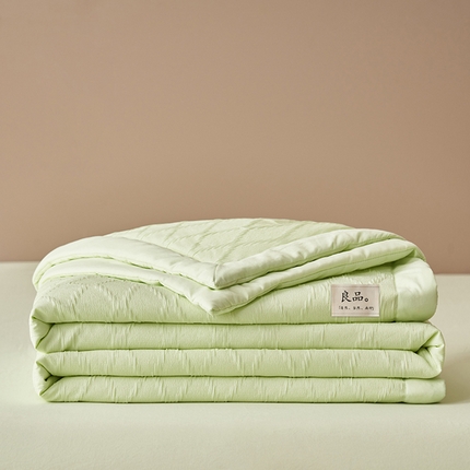 91家纺网 家纺一手货源 找家纺 一加一家纺2025新款双层泡泡纱菱形提花大豆夏被被子被芯 菱形提花-绿